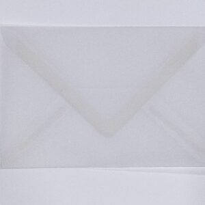 BUSTA TRASPARENTE F.TO 120X175