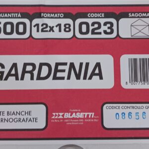 BUSTE GARDENIA 023