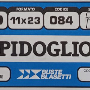 BUSTE CAMOIDOGLIO 084